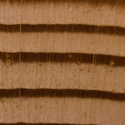 Mélèze d'Europe (Larix decidua) en bois de bout. Ponçage au grain 4000. Grossissement x10