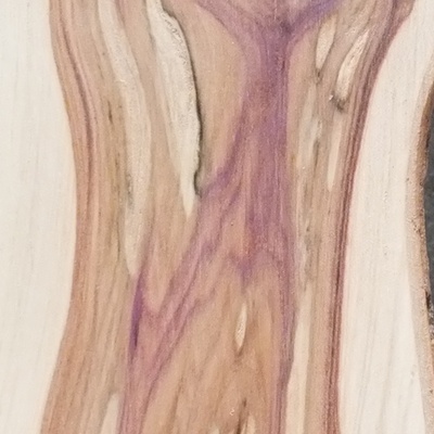 Lilas commun (Syringa vulgaris)
Seul un vieux tronc a le cœur de cette couleur. Il faut que l'écorce soit rugueuse et fendillée. Le bois des lilas plus jeunes est blanc.