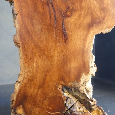 Il s'agit d'une aubépine morte sur pied dont le bois est devenu marron