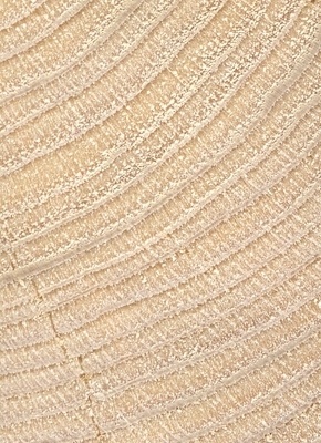 Taille réelle : 33 x 120 mm
