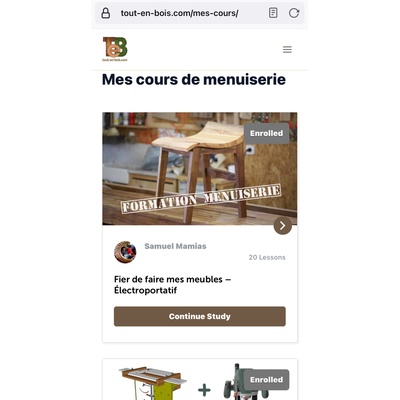 https://tout-en-bois.com/mes-cours/