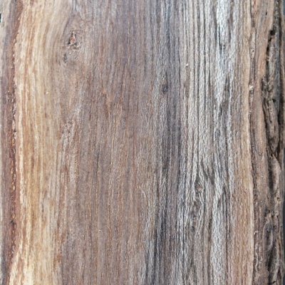 Le bois d'ajonc prend des couleurs grises marrons lorsqu'il est échauffé, sans pour autant perdre de ses qualités mécaniques. Provenance Finistère.