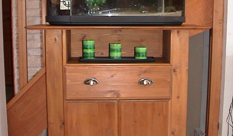 lampe chauffante pour tortue d'eau