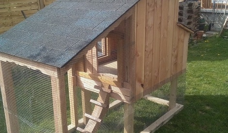 Poulailler 3 Poules - Spécialiste du poulailler écologique et 