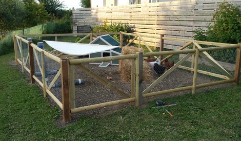 faire un enclos pour tortue hermann