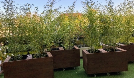 terrasse QUMENEY Lot de 2 caddies carrés en bois de 30 cm avec roulettes support de plante en bambou robuste pour jardin intérieur balcon 