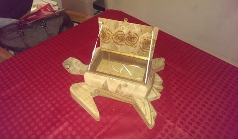 petite tortue de floride