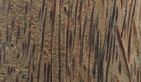 Palmier sur L'Air du Bois