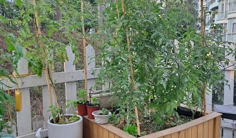 large-bac-de-jardinage-par-kyoxilbuzz-sur-l-air-du-bois