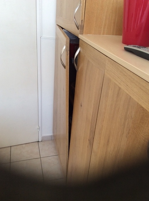 Il est libre ....... le bois y en a même qui l'on vu vriller