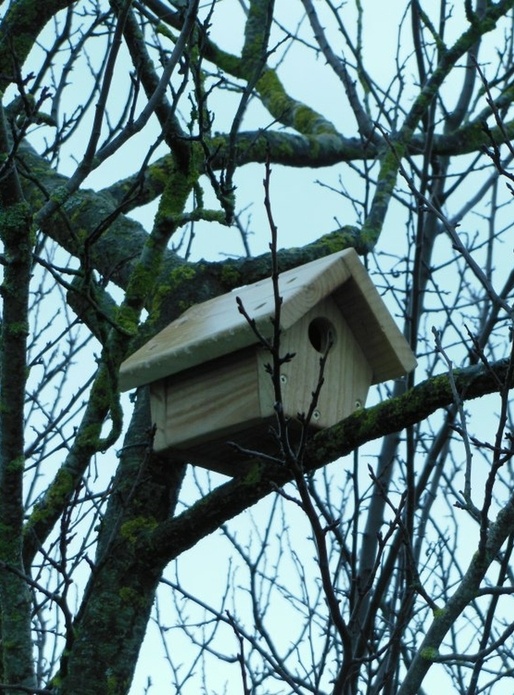 Nichoir en bois