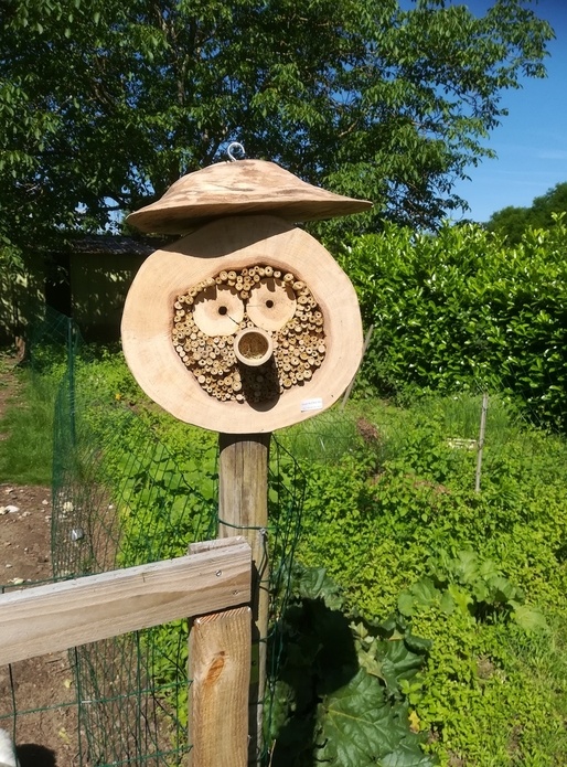 Hôtels et restos du cœur