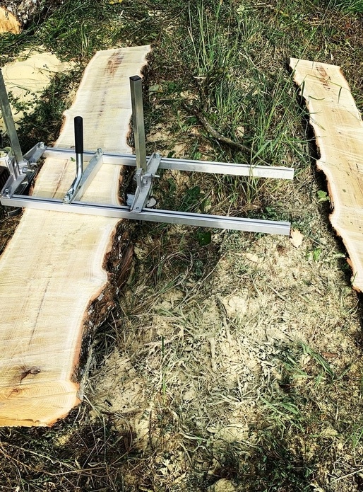 Plateau acacia et frêne