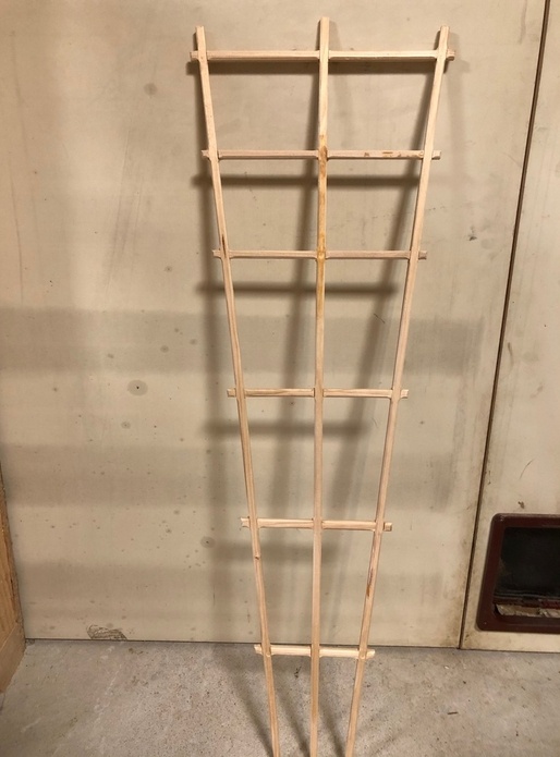 Espalier pour plante grimpante