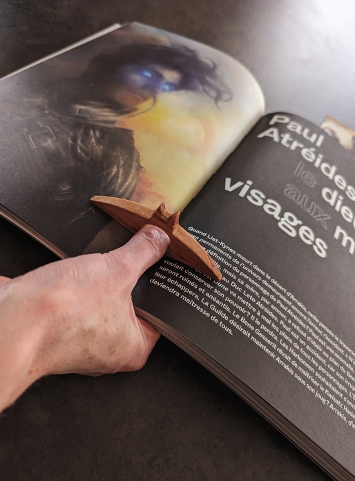 Bat-bague de lecture pour Elodie