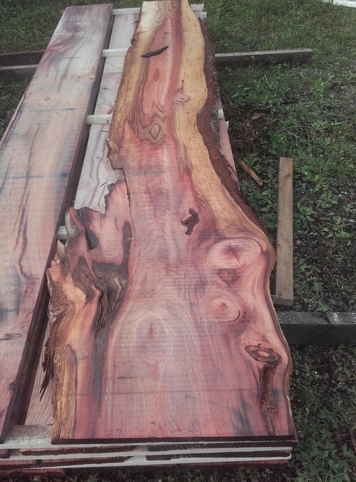 La nature fait bien les choses