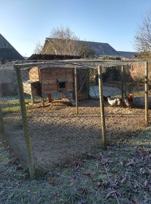 L' hôtel à Cocottes