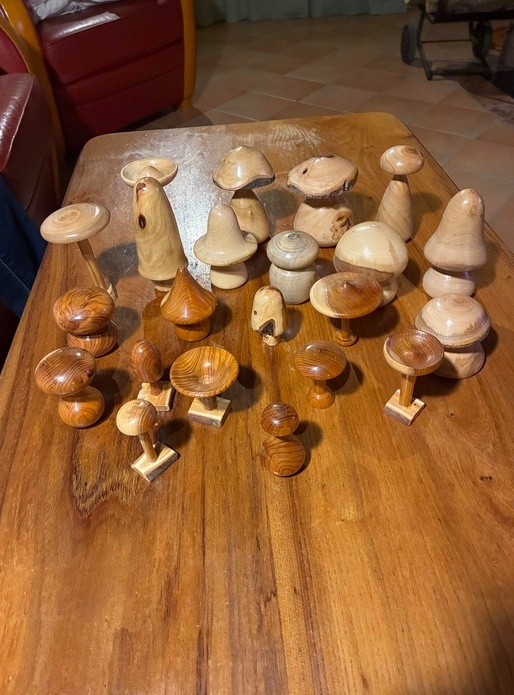 Fricassée de champignons