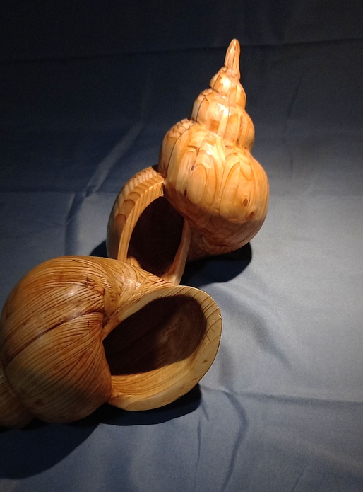 En attendant l’été, quelques coquillages.