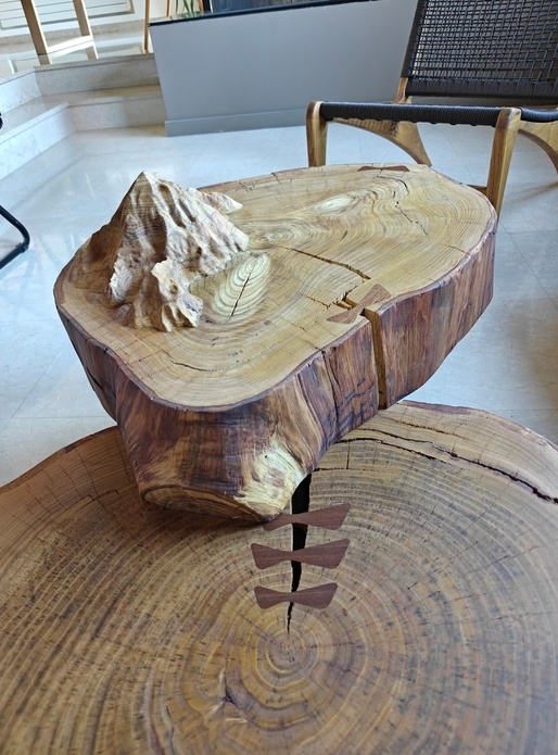 Table basse en rondins et pieds en pierre