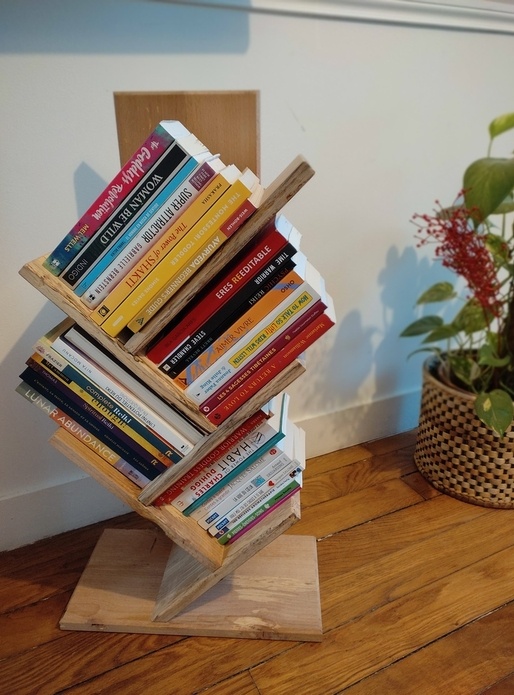 Petite étagère à livres