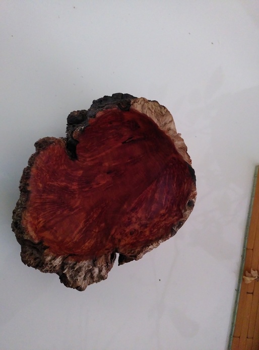 Boule de bruyere creusé