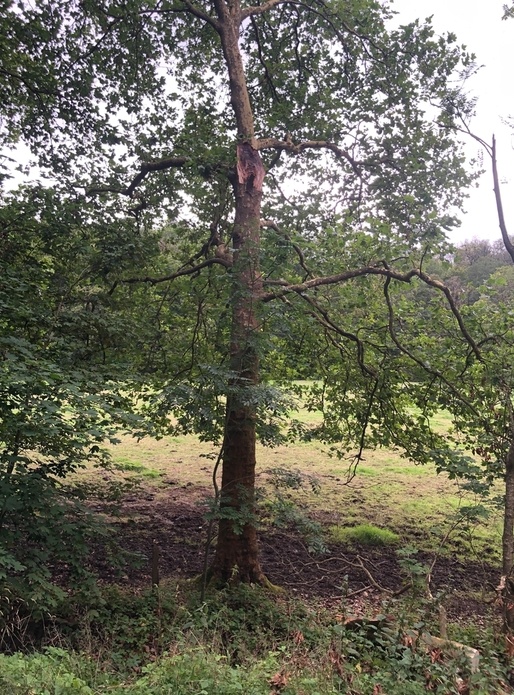 Tout vient à point à qui sait attendre