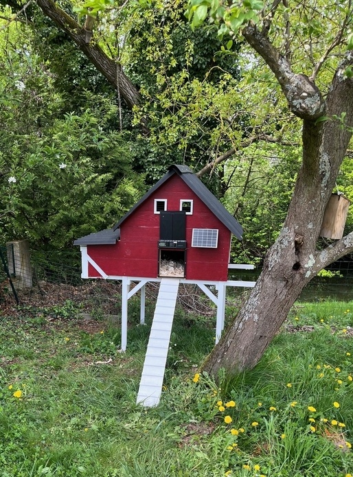 Poulailler  - 2 à 8 poules