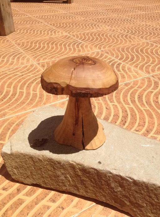 Un beau champignon sculpté
