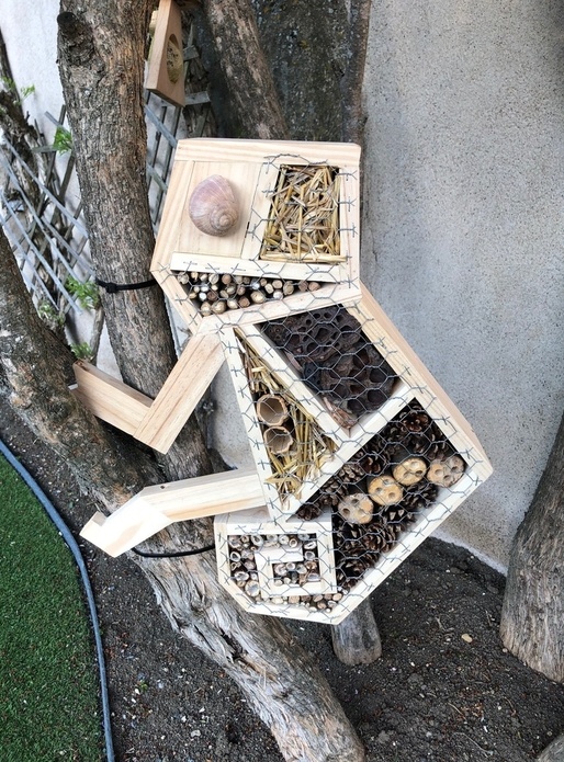 Hôtels à Insectes Caméléon