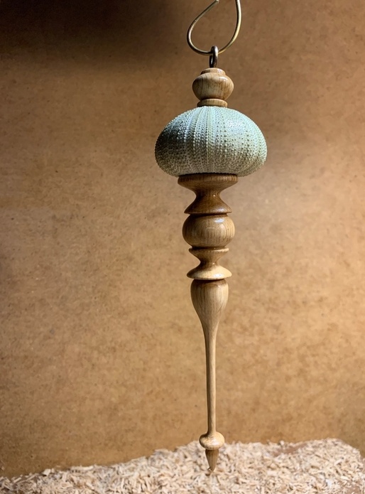 Oursin décoratif ou  Sea Urchin Shell Ornament