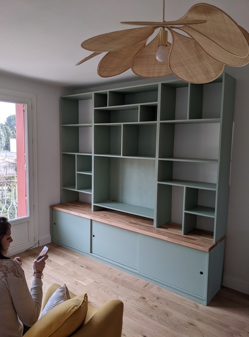 Meuble télé bilbiothèque