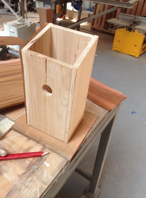 Cabane pour Mésanges bleu