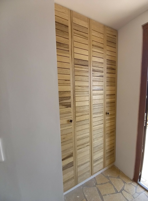 Portes de placard d'entrée