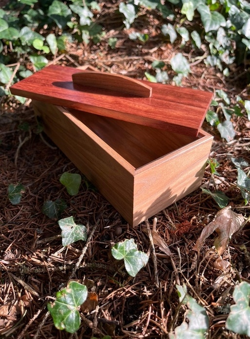 Plumier en Orme rouge