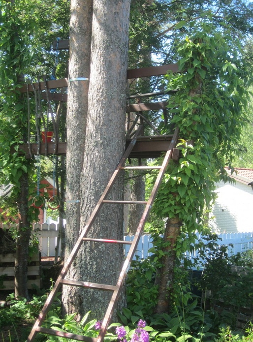 Petit projet d'été: cabane dans les arbres