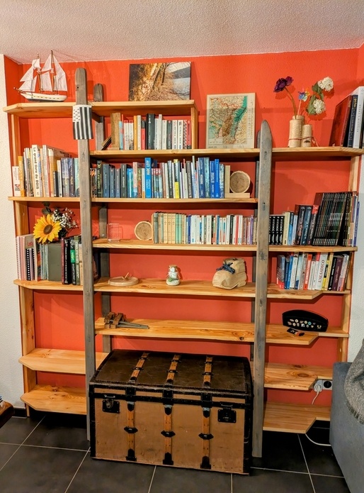 Bibliothèque du spitzbuewe avec échelle en bois