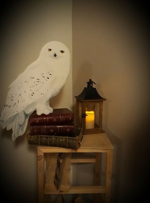 Hedwige chantournage