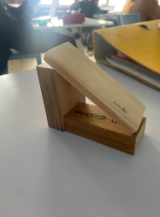 Début de ma première xylothèque