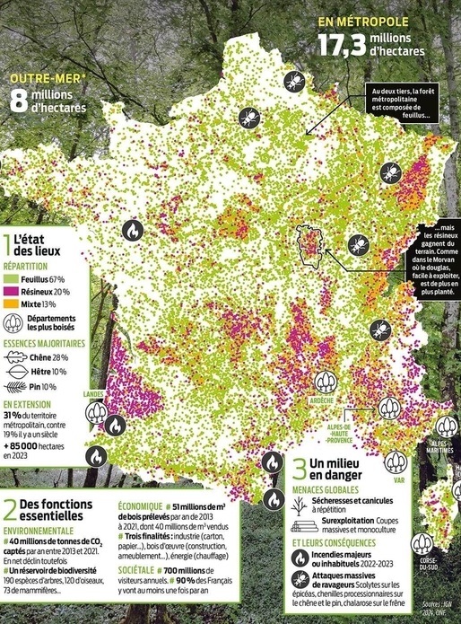 Carte essences bois France 2024