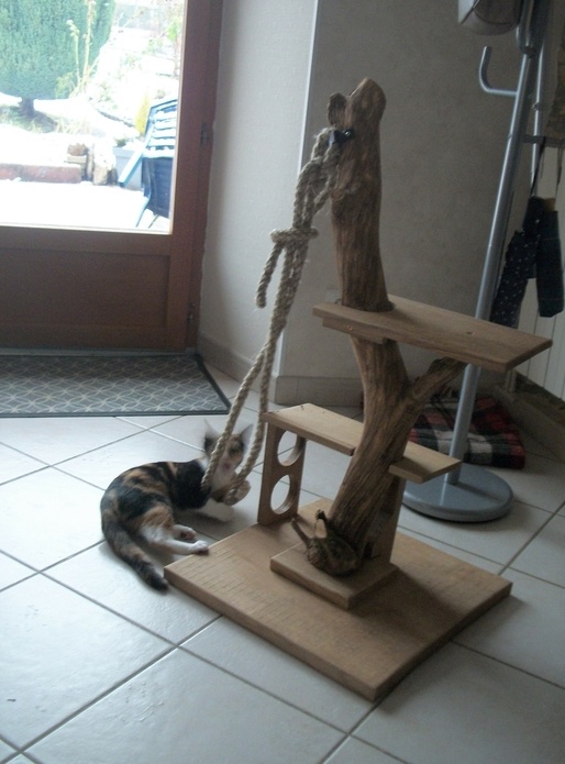 Arbre à chat original!