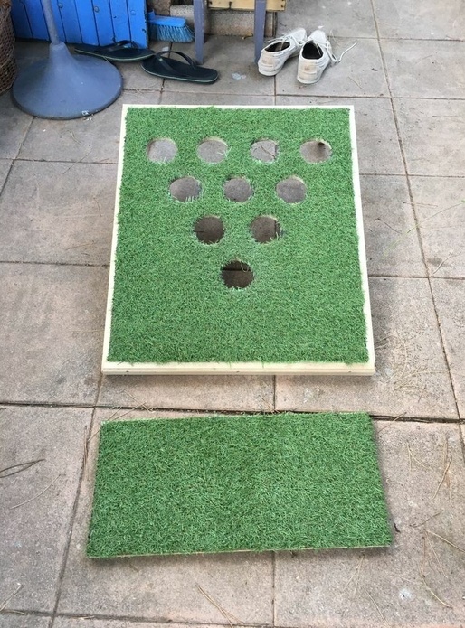 Golf Pong