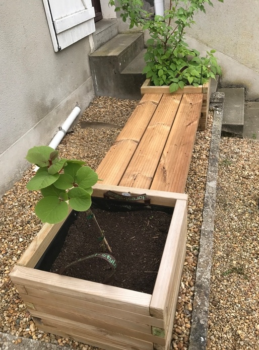 Le banc kiwi-framboise