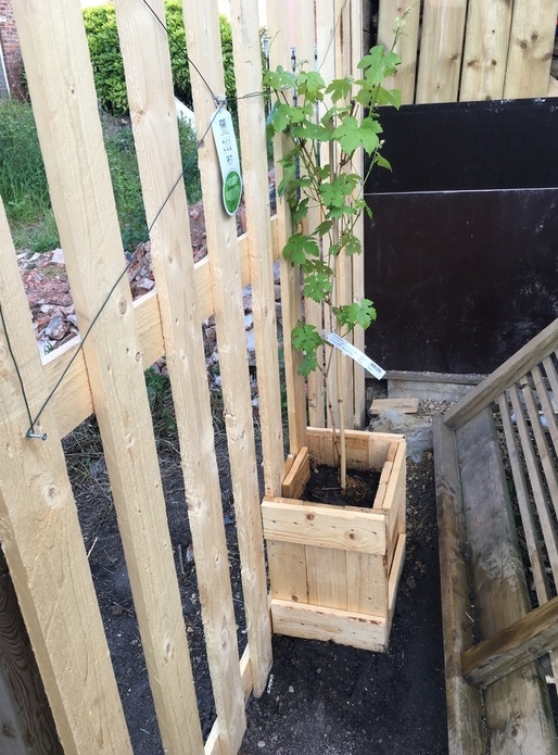 Clôture de 60 mètres