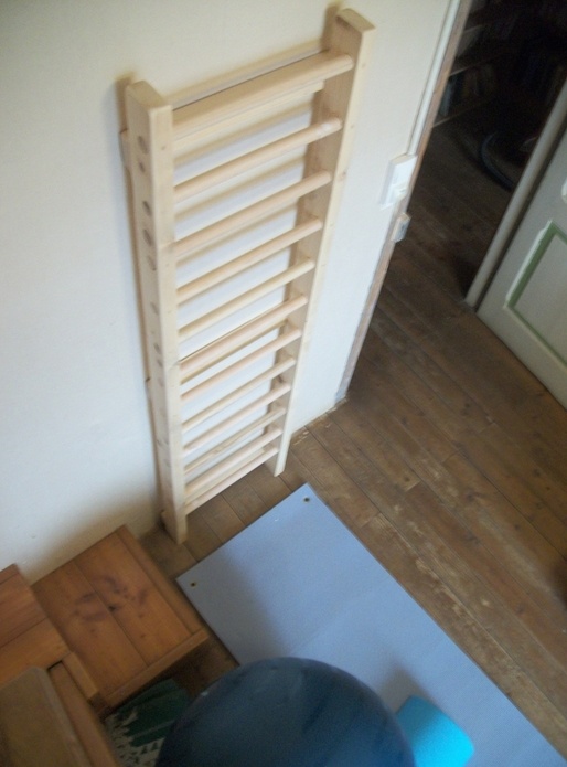 Espalier de gymnastique en sapin.