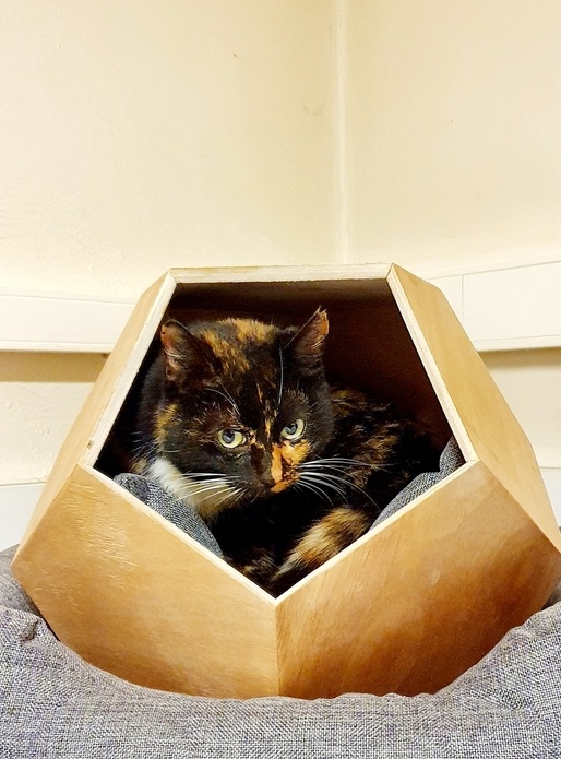 Niche dodécaèdre pour chat