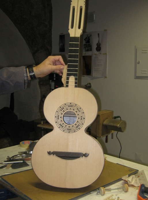 Viola Beiroa - Castelo Branco - Portugal