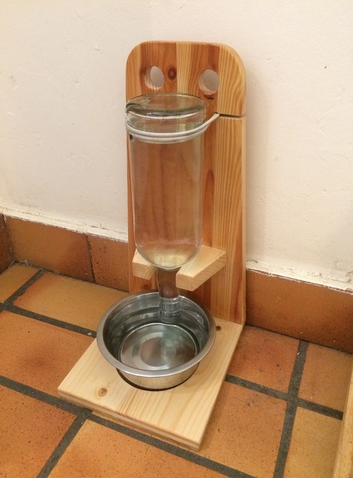 Bistrot "happy hour" pour chat-soifé