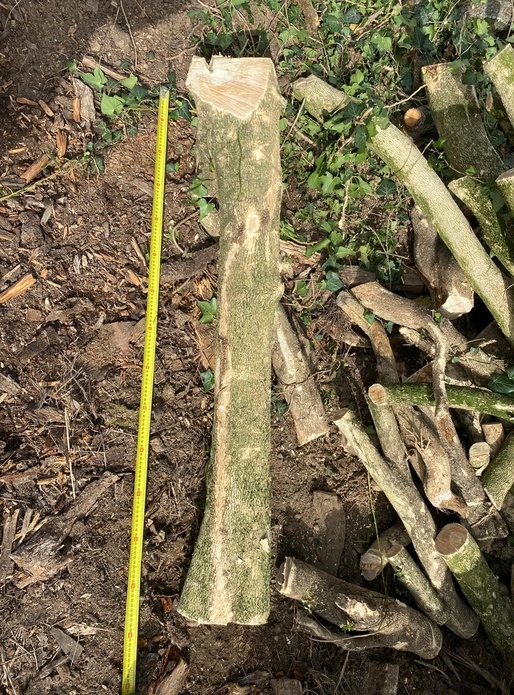 Lot de Buis de pays Grumes de 5 à 20 cm