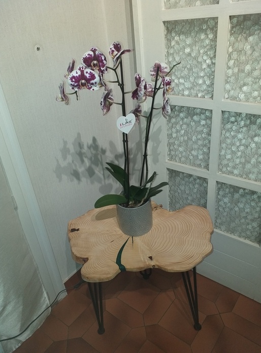 Console en épicéa avec coulée de résine